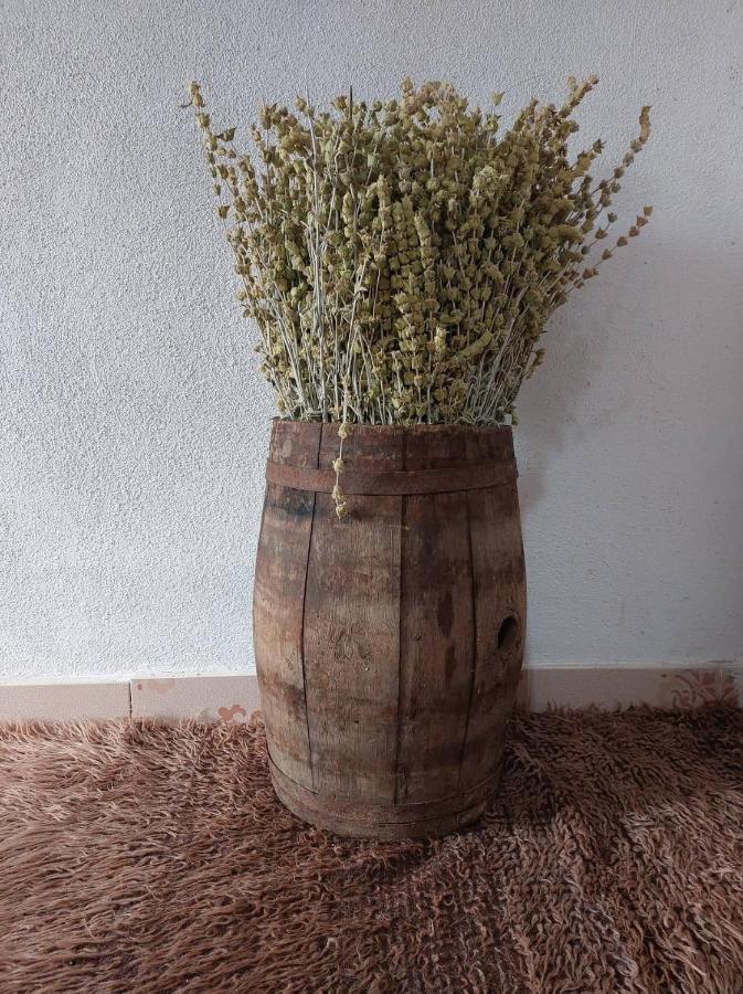 Prespa'S Balcony Guesthouse Dolna Gorica エクステリア 写真