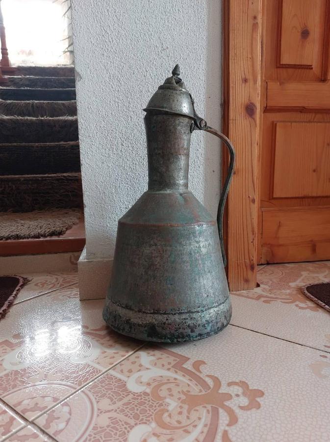 Prespa'S Balcony Guesthouse Dolna Gorica エクステリア 写真
