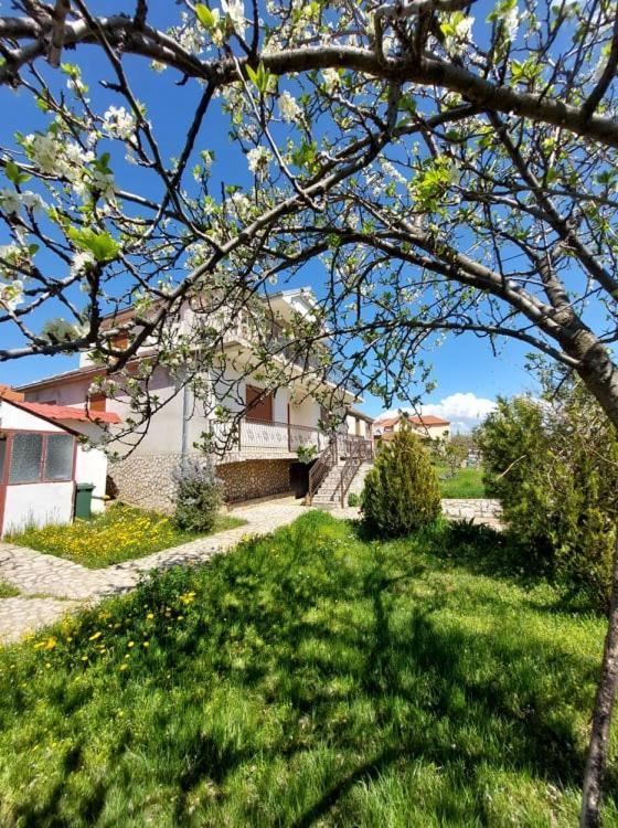 Prespa'S Balcony Guesthouse Dolna Gorica エクステリア 写真