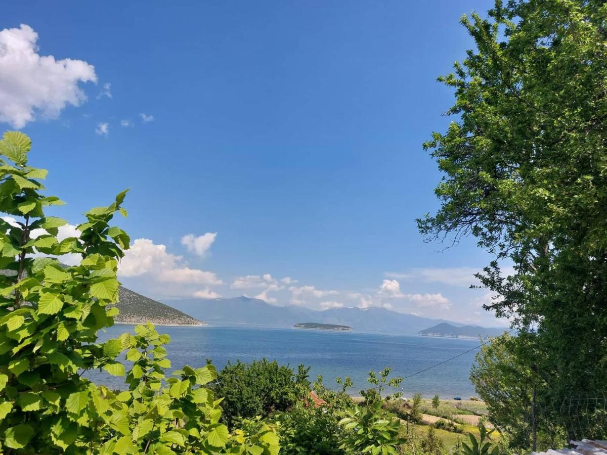 Prespa'S Balcony Guesthouse Dolna Gorica エクステリア 写真