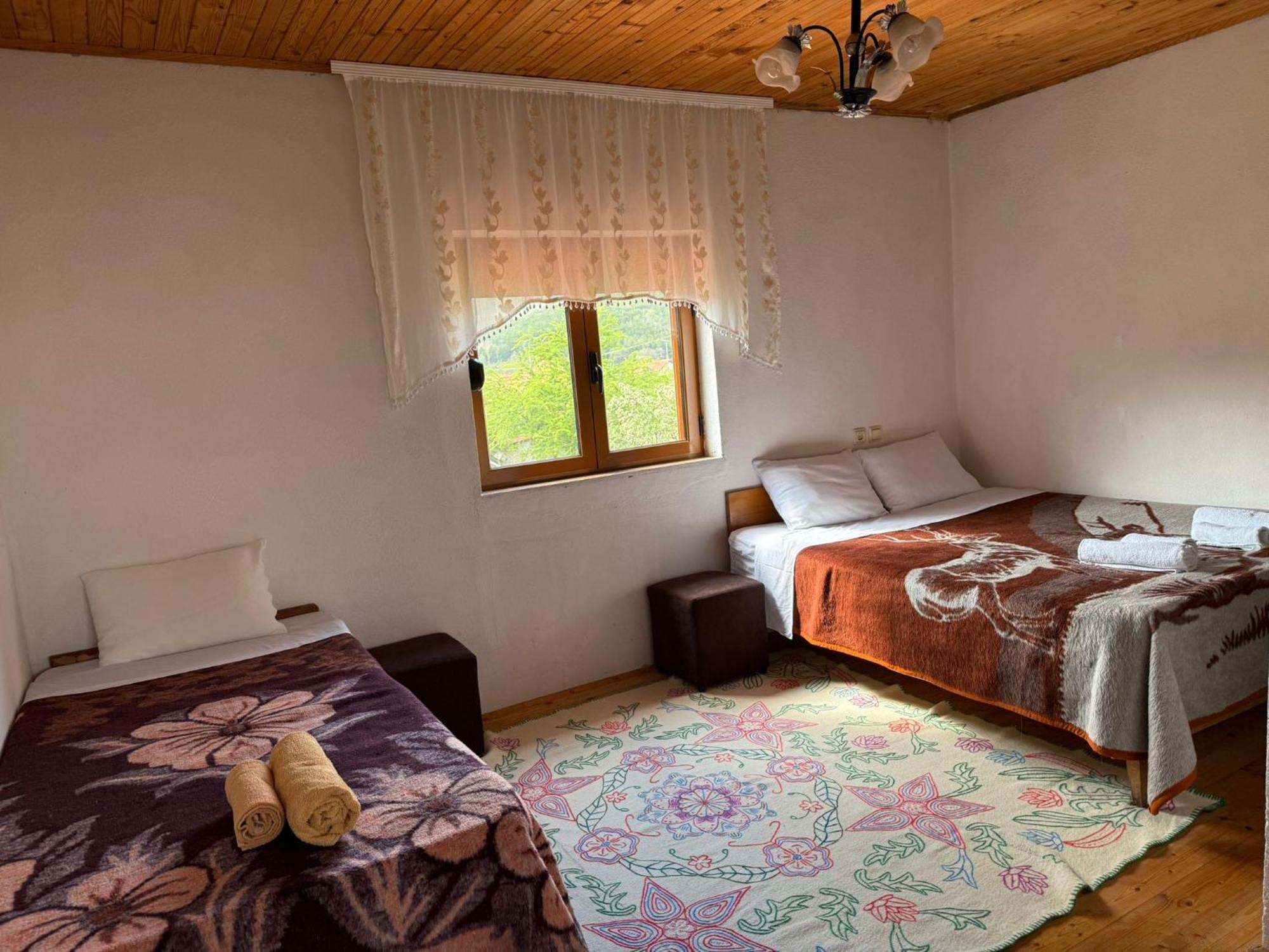 Prespa'S Balcony Guesthouse Dolna Gorica エクステリア 写真