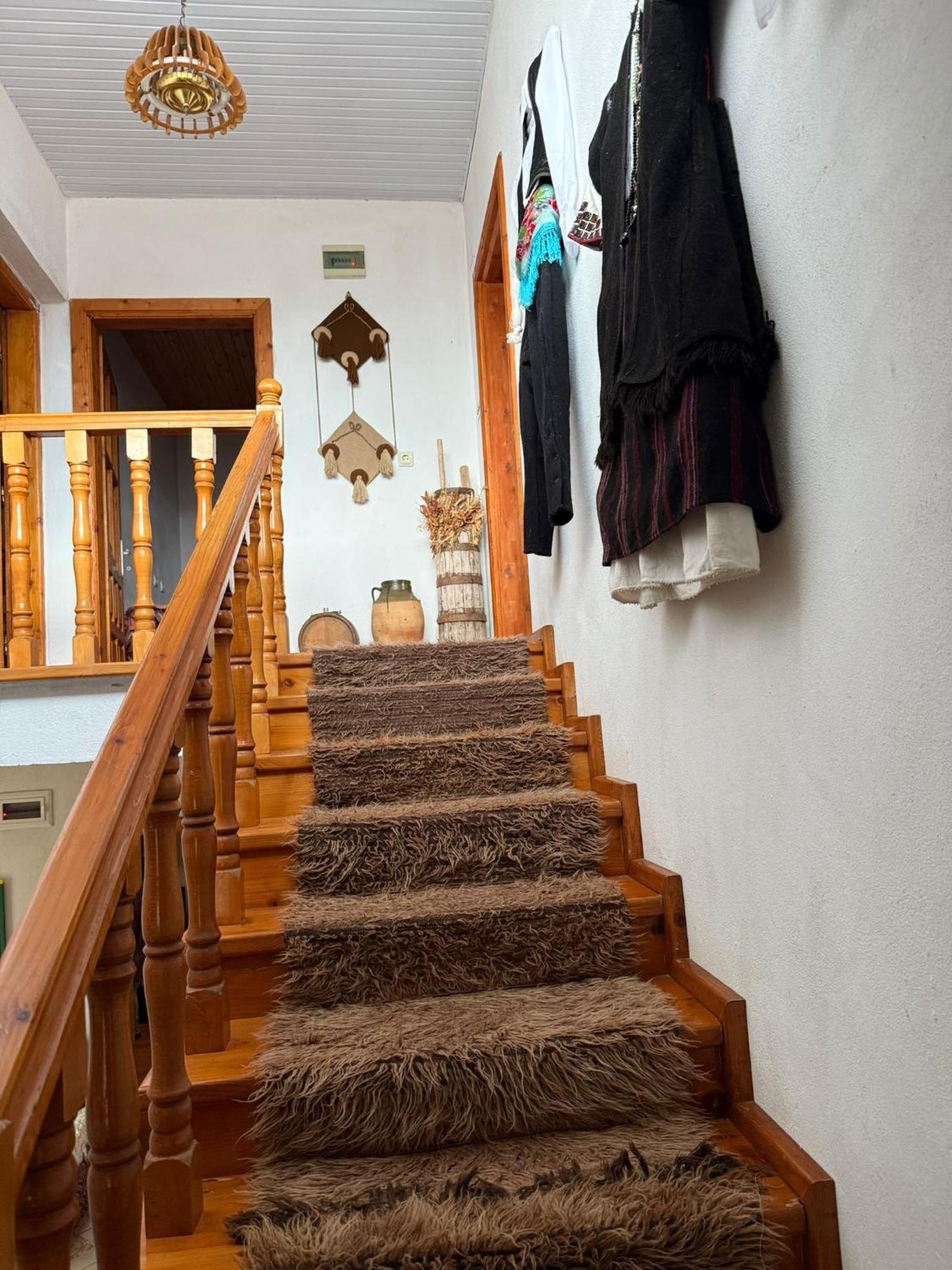 Prespa'S Balcony Guesthouse Dolna Gorica エクステリア 写真