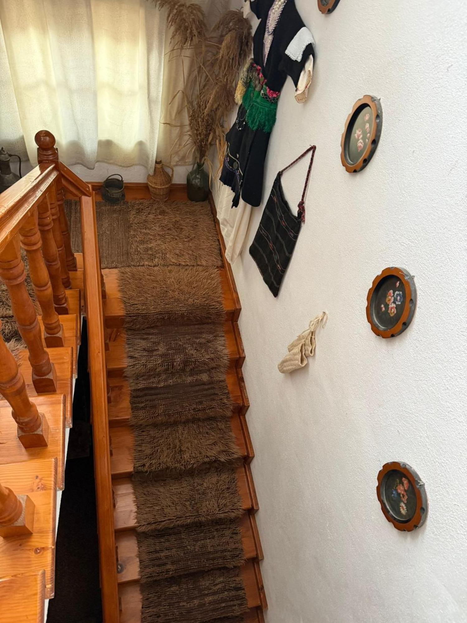 Prespa'S Balcony Guesthouse Dolna Gorica エクステリア 写真